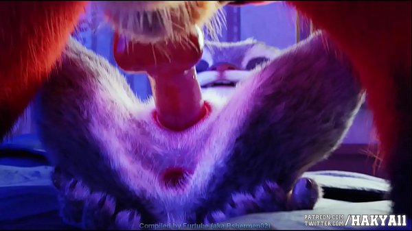 Furry Porn Animation