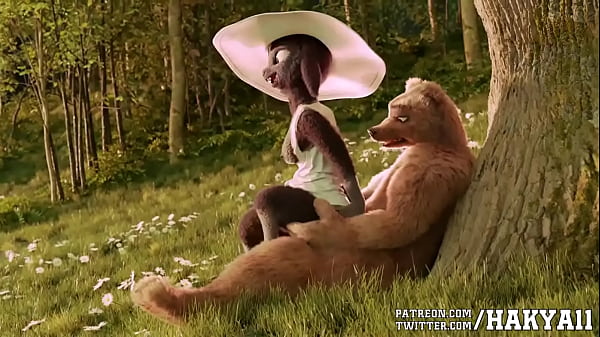600px x 337px - animation furry bear sex sheep forest - Anime XXX