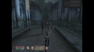 estrus compile bbb motion.avi