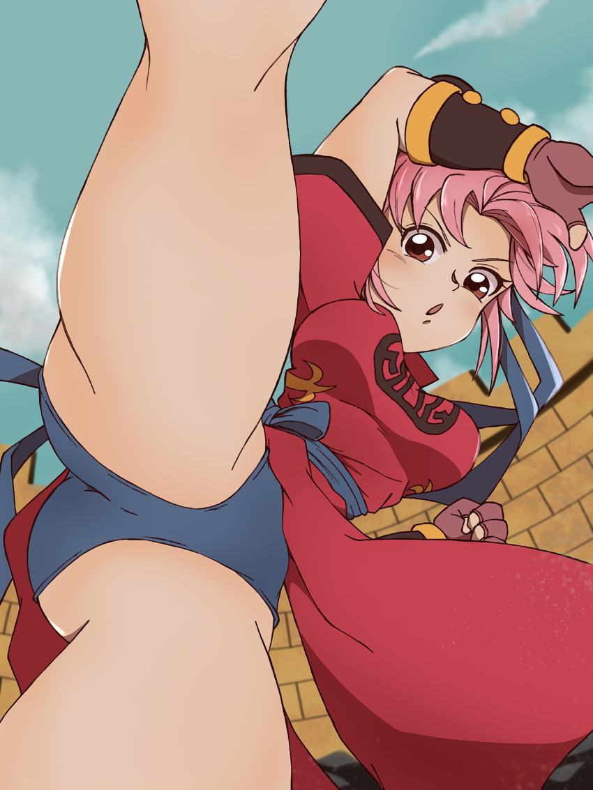 1girl anime ba_mimim_(pixiv) big_breasts dark_brown_eyes dragon_quest dragon_quest_dai_no_daibouken dragon_quest_the_adventure_of_dai female_only maam pink_hair solo_female solo_focus square_enix teen video_game_franchise