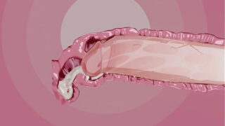 Squirting Orgasm after Pussy Creampie – 3D